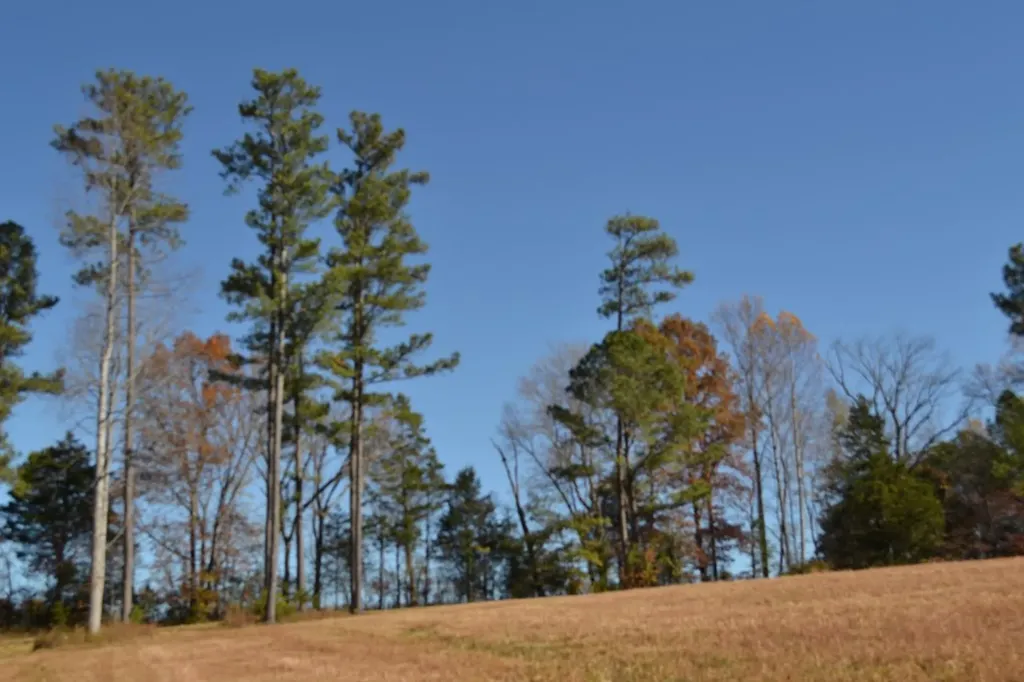 28.30AC Whitson Hollow Road Red Boiling Springs TN 37150