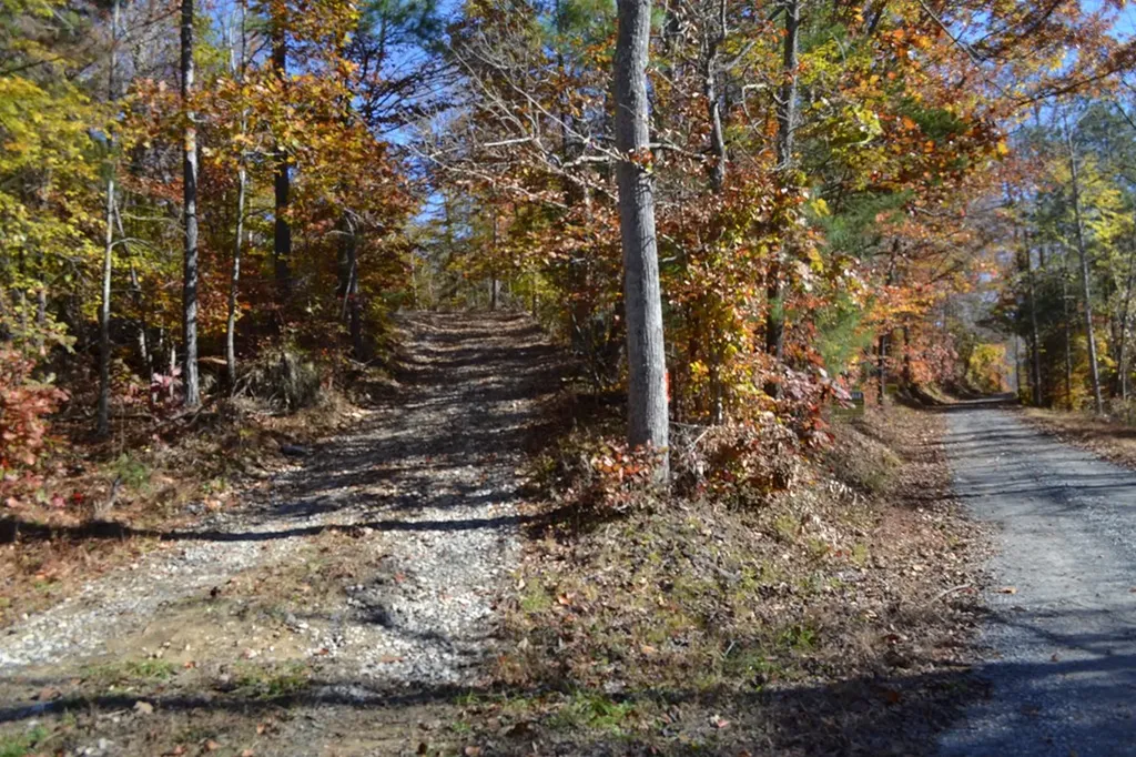 28.30AC Whitson Hollow Road Red Boiling Springs TN 37150