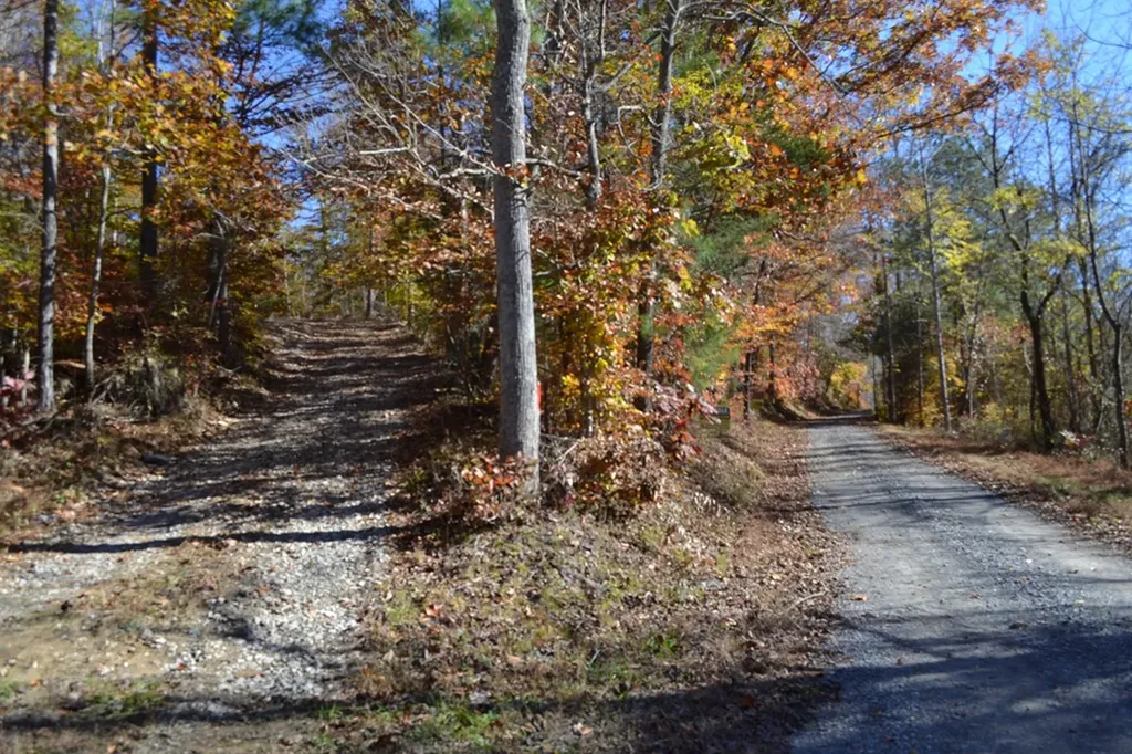 28.30AC Whitson Hollow Road Red Boiling Springs TN 37150