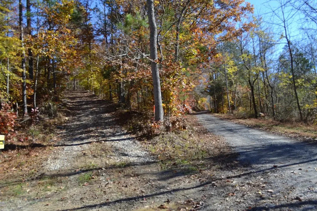 28.30AC Whitson Hollow Road Red Boiling Springs TN 37150