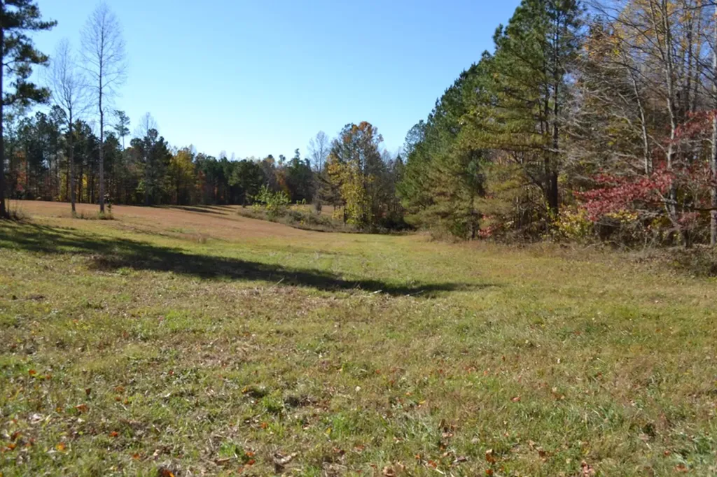 28.30AC Whitson Hollow Road Red Boiling Springs TN 37150