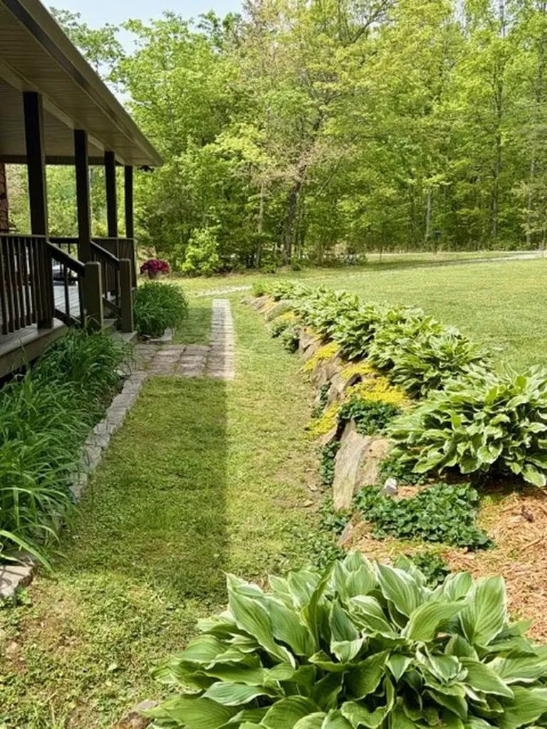 331 E Cove Monterey TN 38574