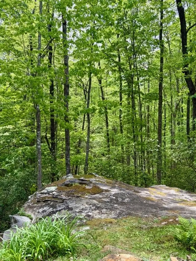 331 E Cove Monterey TN 38574