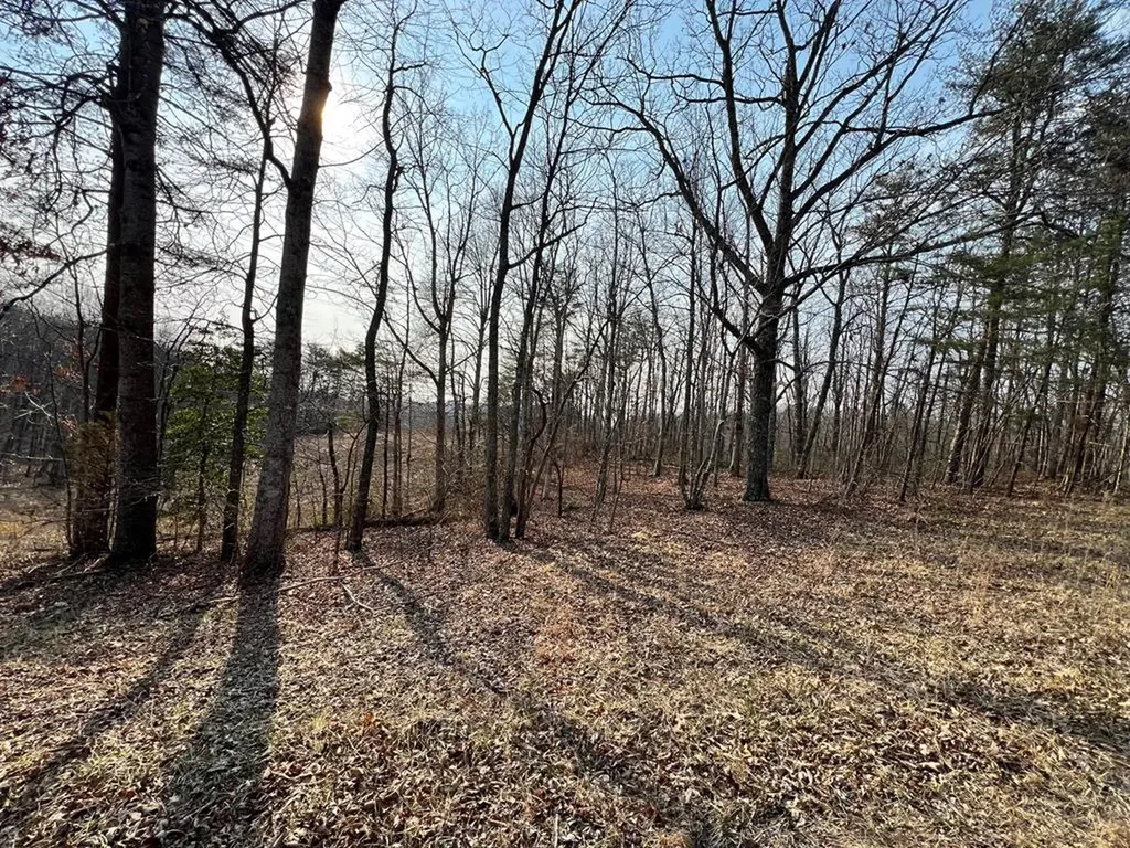 00 Belmont Drive Monterey TN 38574