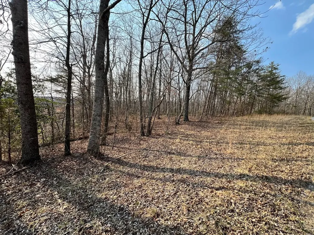 00 Belmont Drive Monterey TN 38574