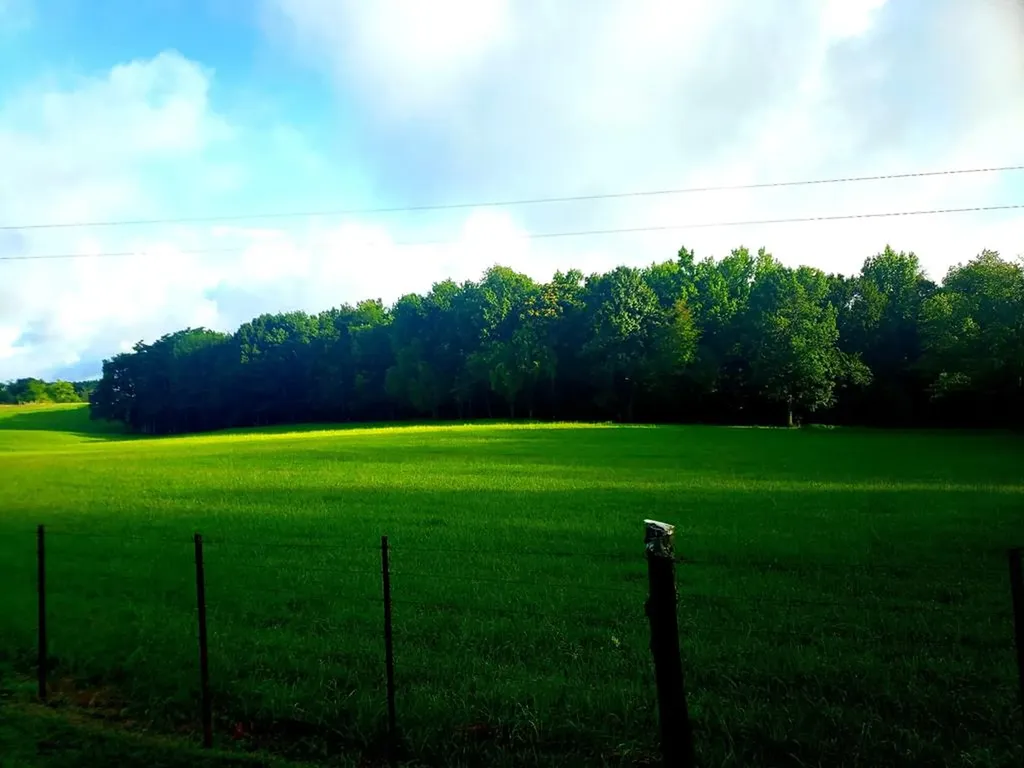 157 Kirkpatrick Lane Walling TN 38587