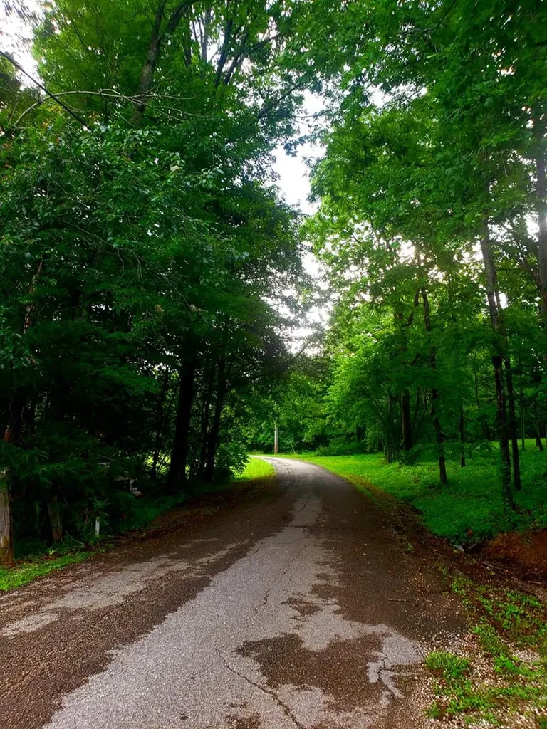 157 Kirkpatrick Lane Walling TN 38587