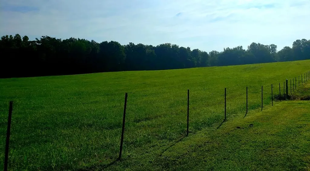 157 Kirkpatrick Lane Walling TN 38587