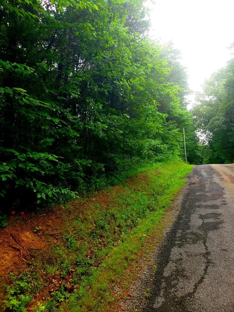 157 Kirkpatrick Lane Walling TN 38587