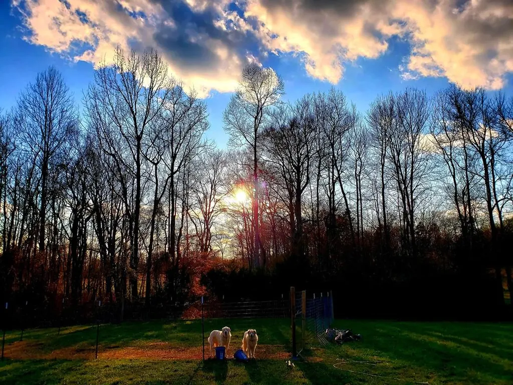 157 Kirkpatrick Lane Walling TN 38587