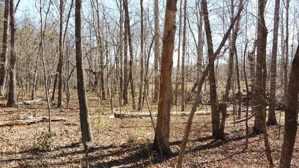 0 Rolling Hills Drive Spencer TN 38585