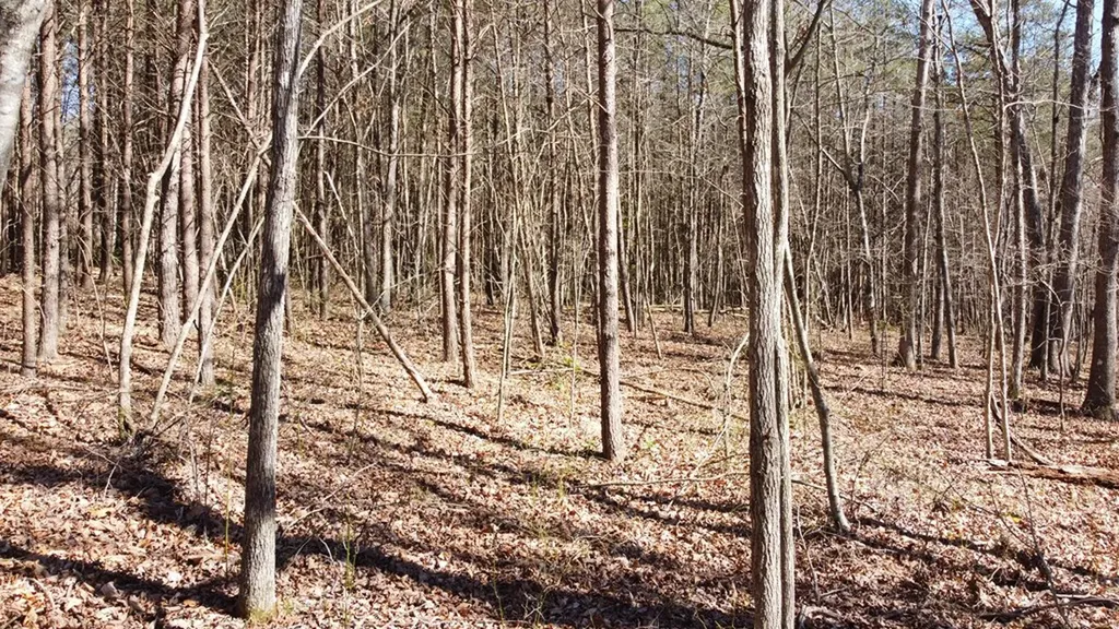 0 Rolling Hills Drive Spencer TN 38585