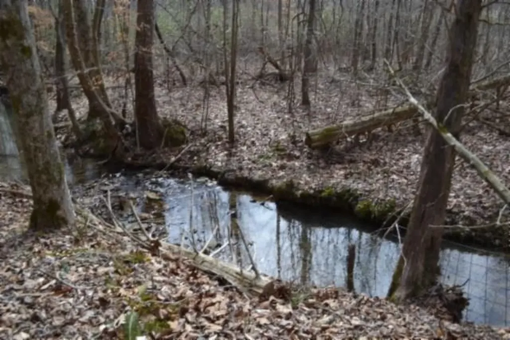 87+/-AC Boles Road Hilham TN 38568
