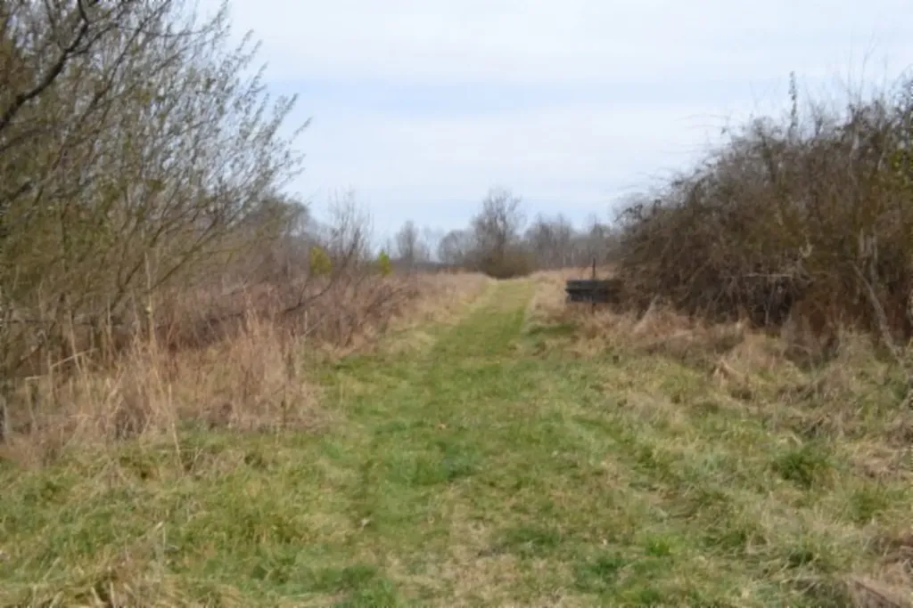 87+/-AC Boles Road Hilham TN 38568