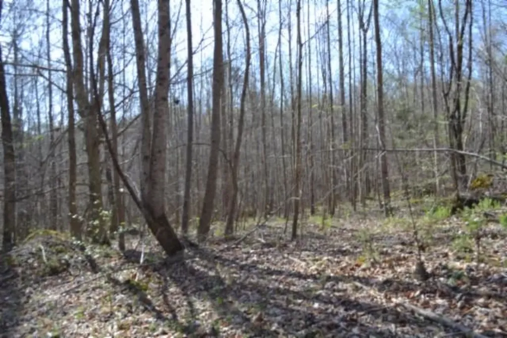87+/-AC Boles Road Hilham TN 38568