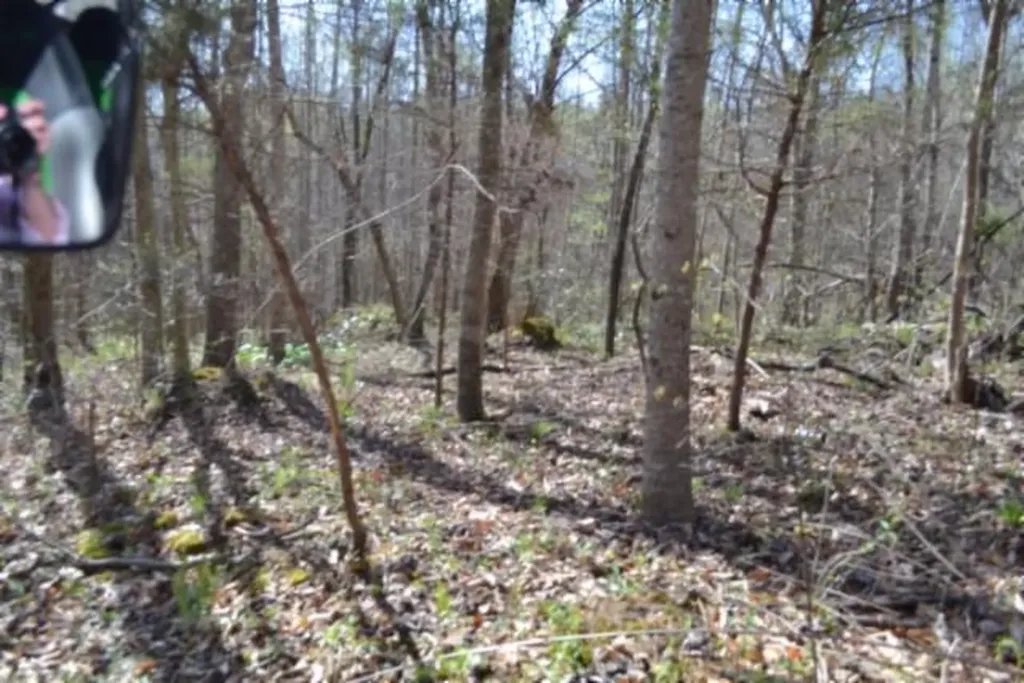 87+/-AC Boles Road Hilham TN 38568