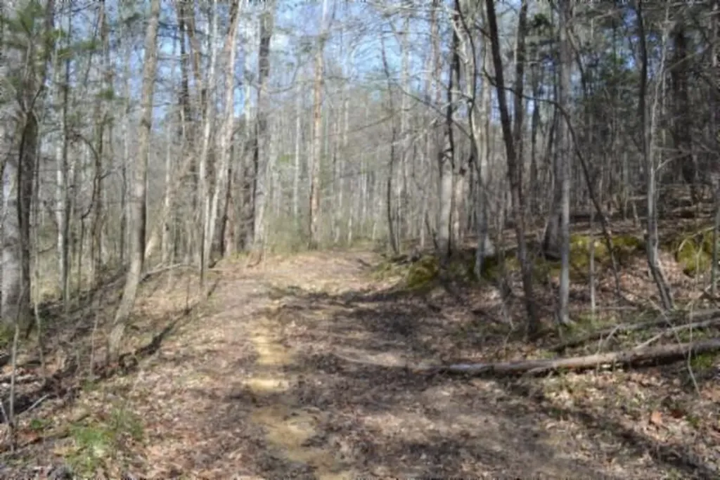 87+/-AC Boles Road Hilham TN 38568