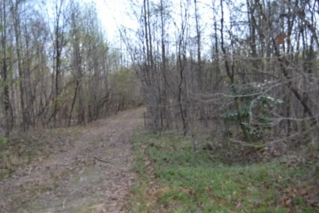 87+/-AC Boles Road Hilham TN 38568