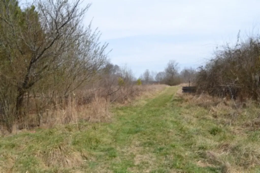 87+/-AC Boles Road Hilham TN 38568
