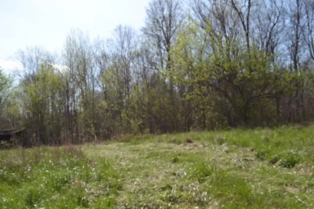 87+/-AC Boles Road Hilham TN 38568