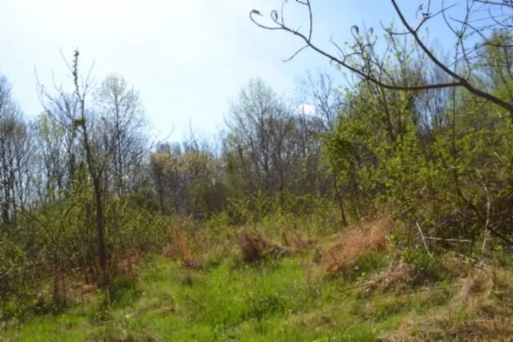 87+/-AC Boles Road Hilham TN 38568
