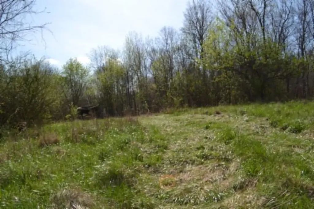 87+/-AC Boles Road Hilham TN 38568