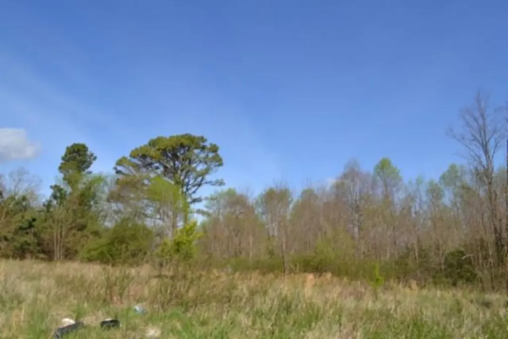 87+/-AC Boles Road Hilham TN 38568
