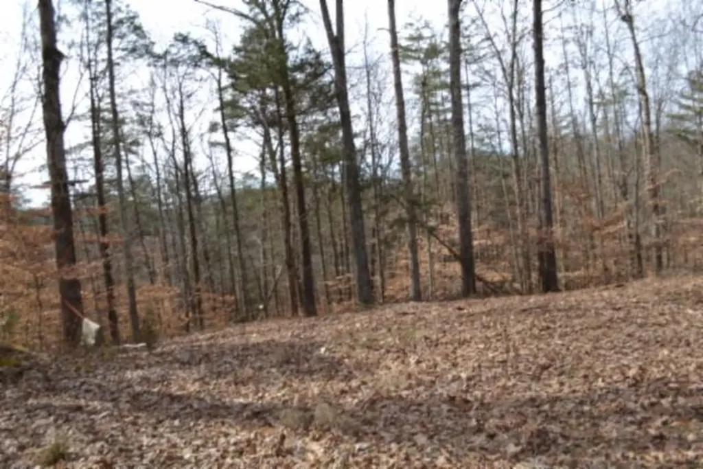 87+/-AC Boles Road Hilham TN 38568