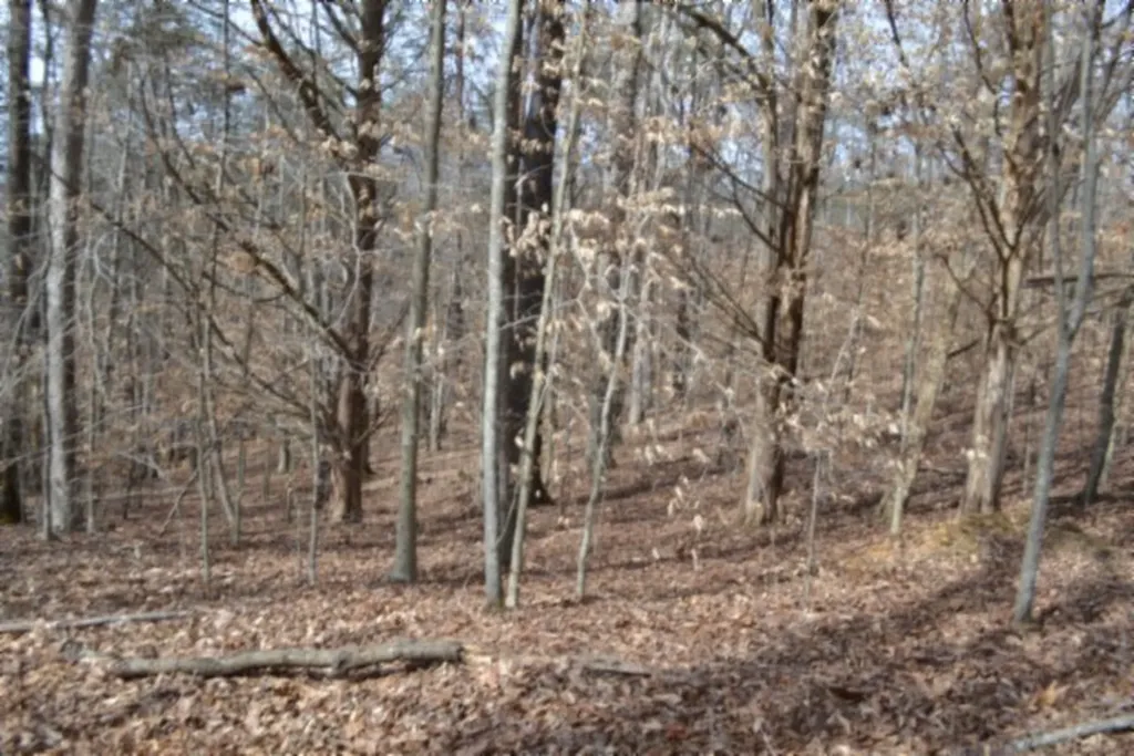 87+/-AC Boles Road Hilham TN 38568