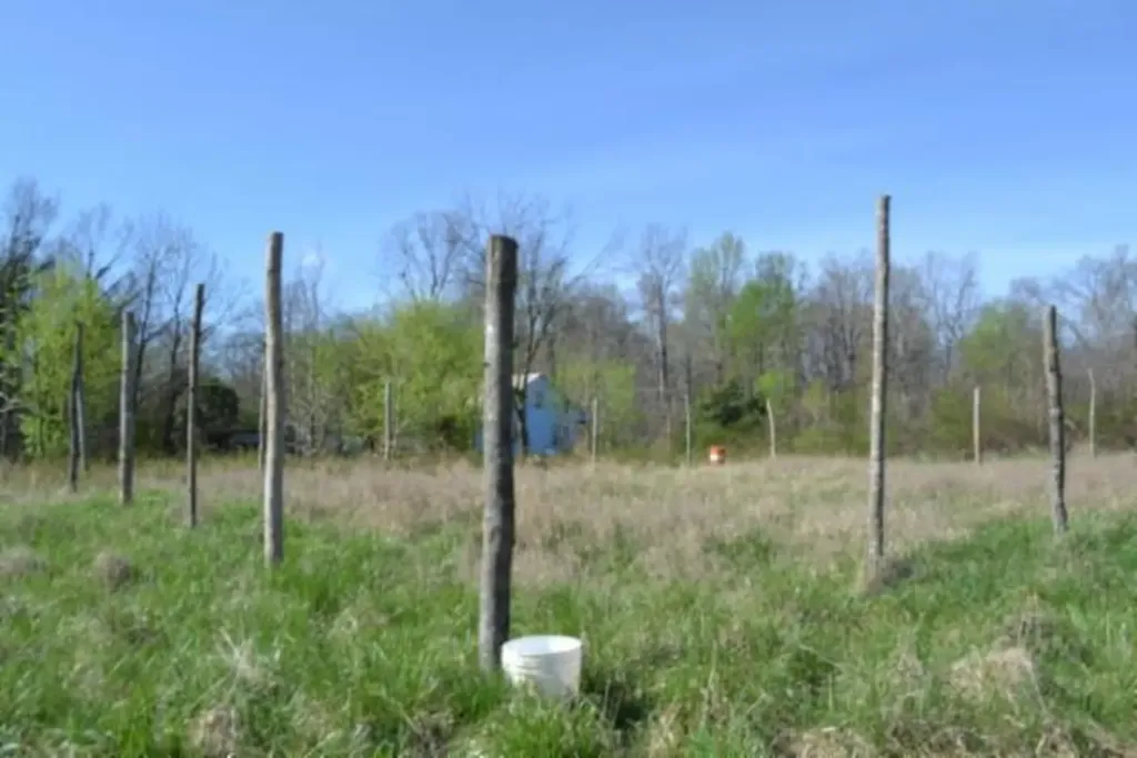 87+/-AC Boles Road Hilham TN 38568