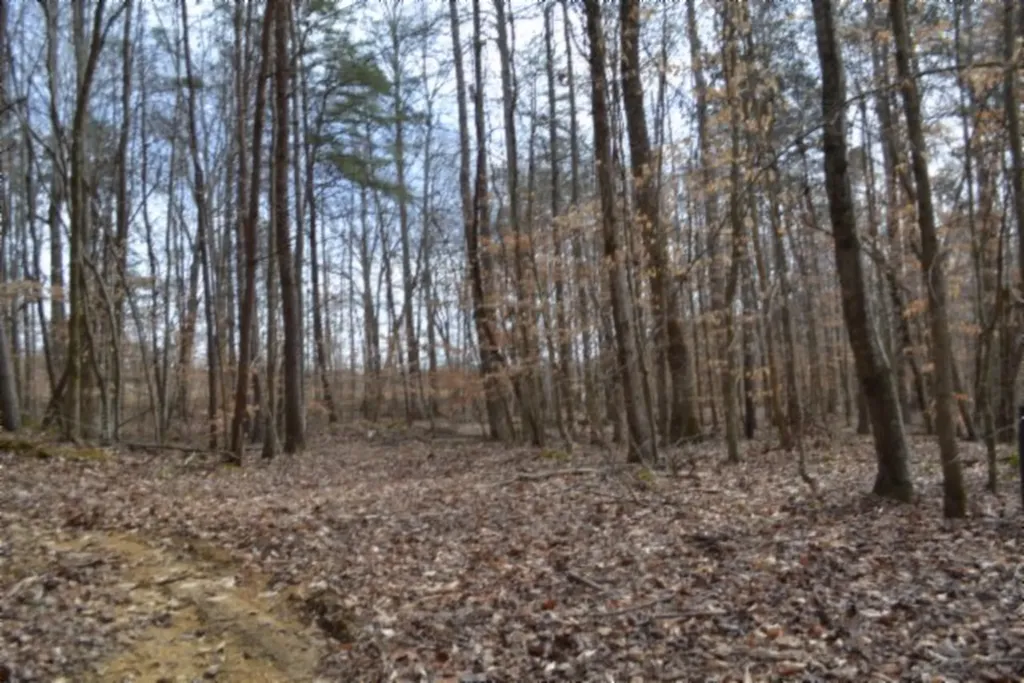 87+/-AC Boles Road Hilham TN 38568