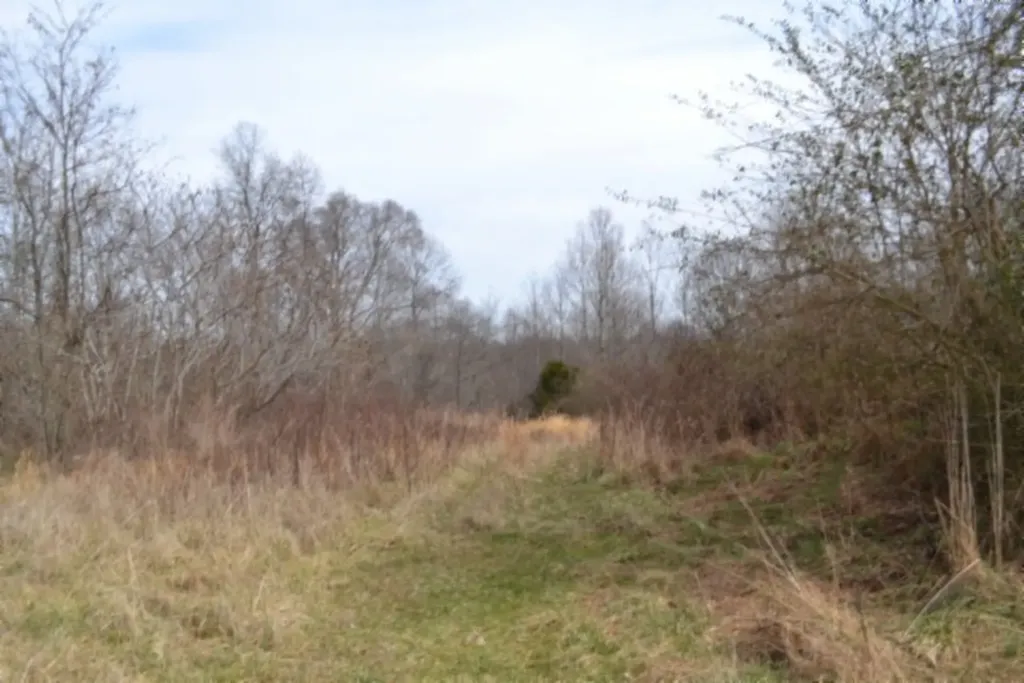 87+/-AC Boles Road Hilham TN 38568