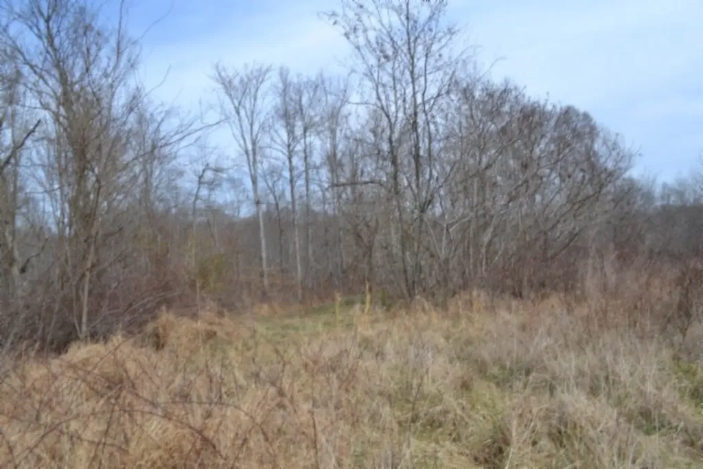 87+/-AC Boles Road Hilham TN 38568