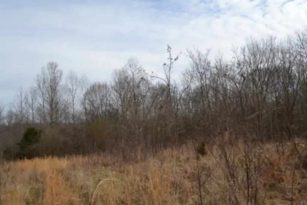 87+/-AC Boles Road Hilham TN 38568