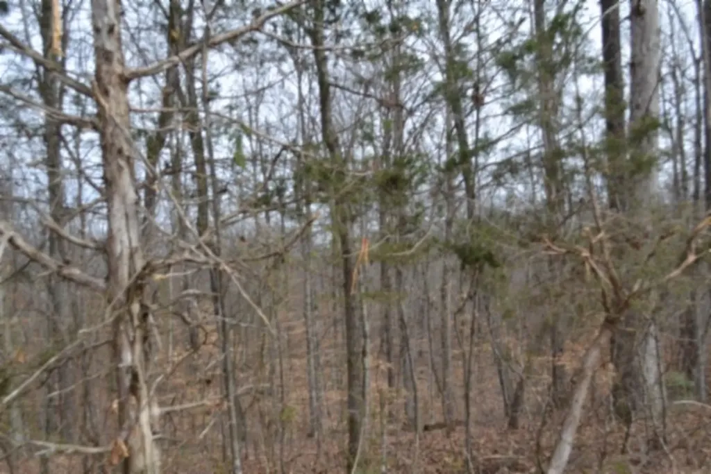 87+/-AC Boles Road Hilham TN 38568