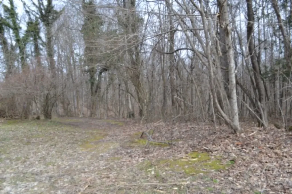 87+/-AC Boles Road Hilham TN 38568