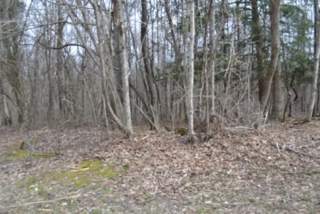 87+/-AC Boles Road Hilham TN 38568