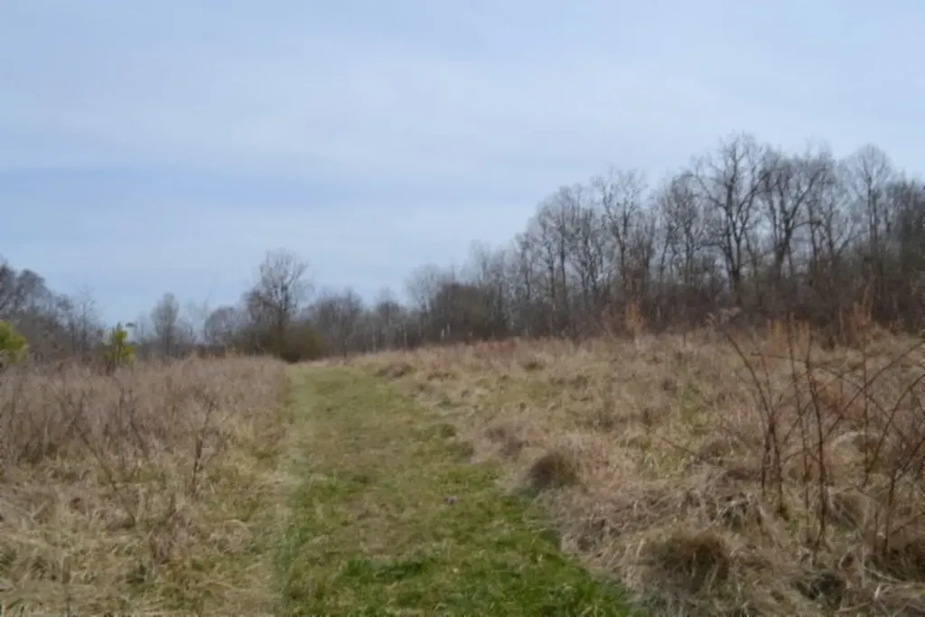 87+/-AC Boles Road Hilham TN 38568
