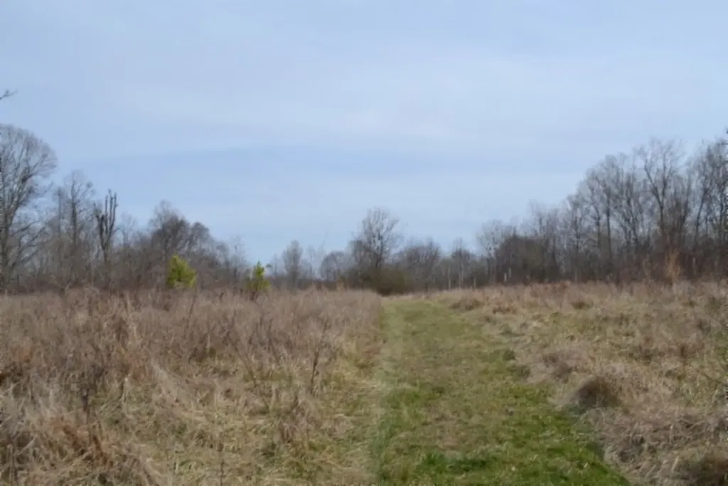 87+/-AC Boles Road Hilham TN 38568