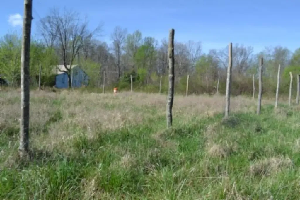87+/-AC Boles Road Hilham TN 38568