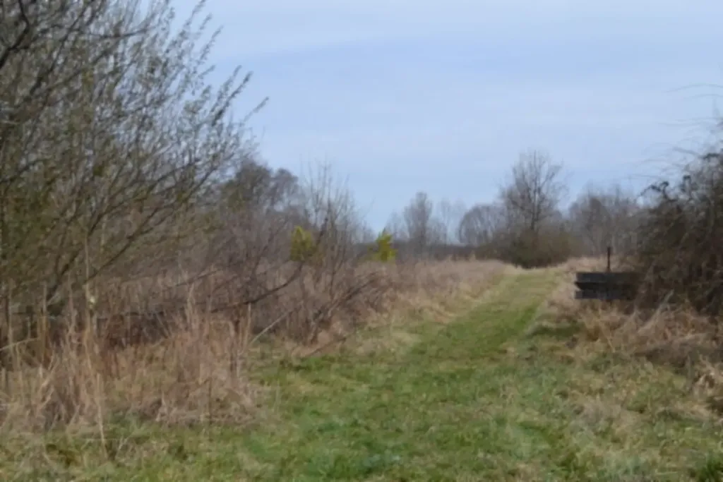 87+/-AC Boles Road Hilham TN 38568