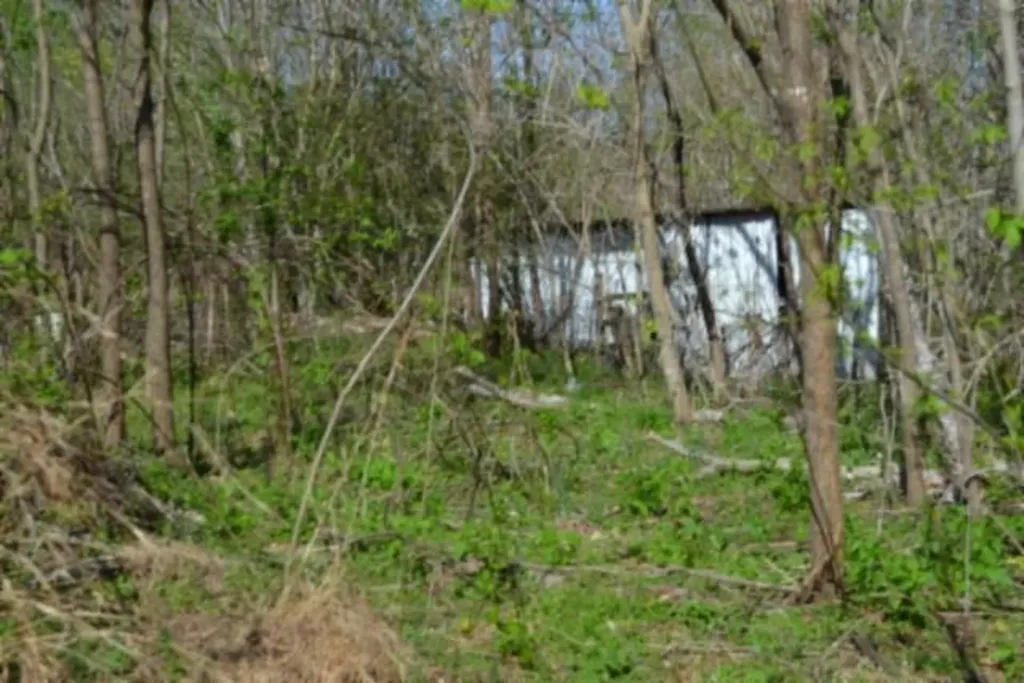 87+/-AC Boles Road Hilham TN 38568