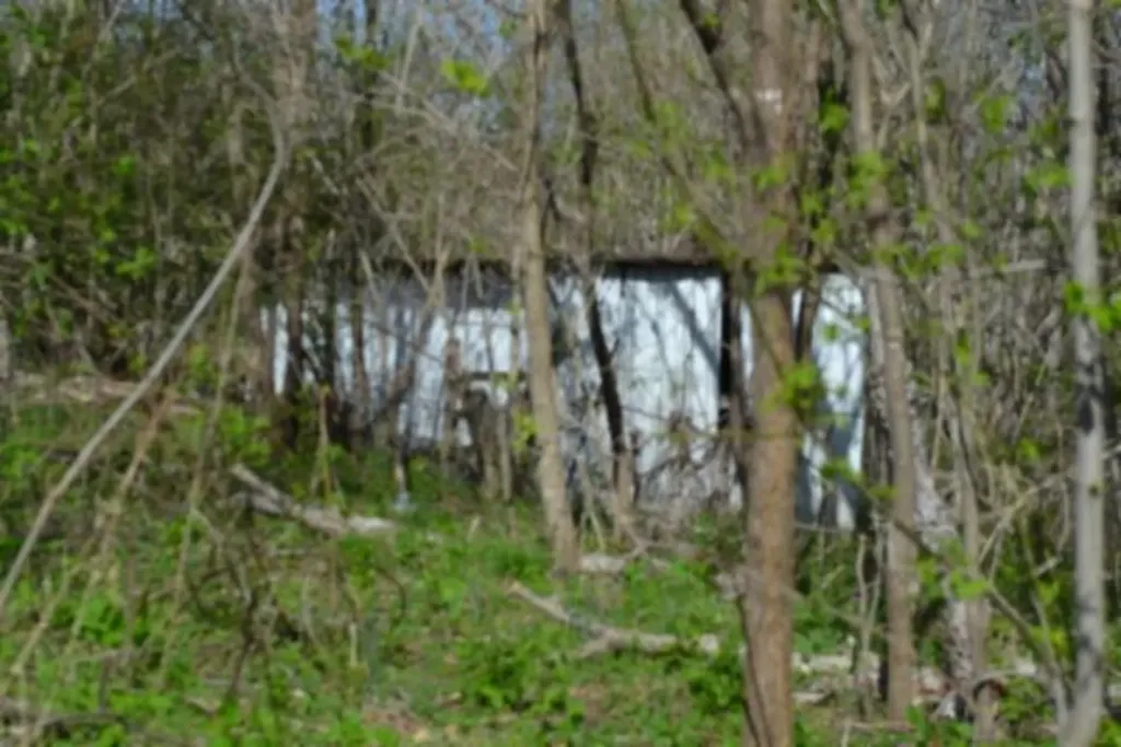 87+/-AC Boles Road Hilham TN 38568