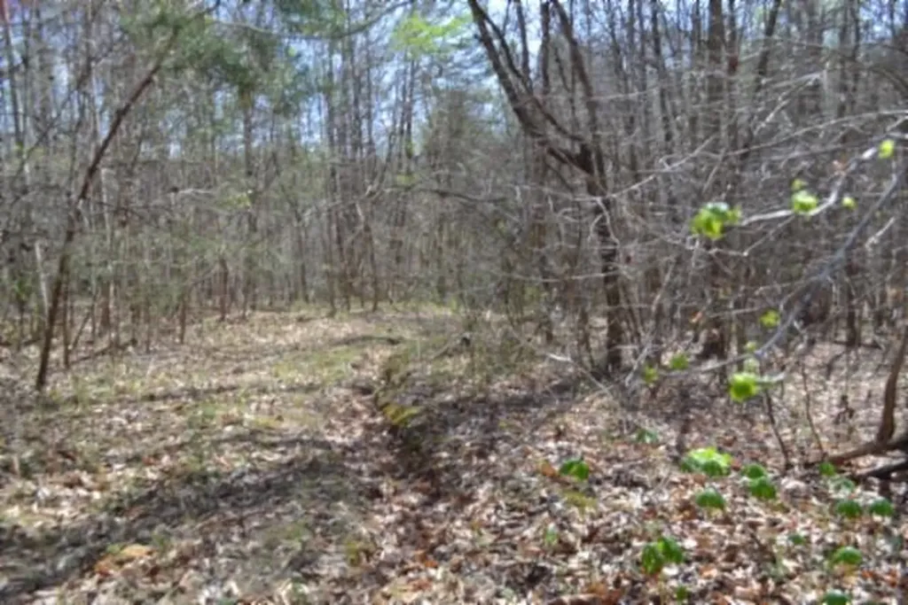 87+/-AC Boles Road Hilham TN 38568