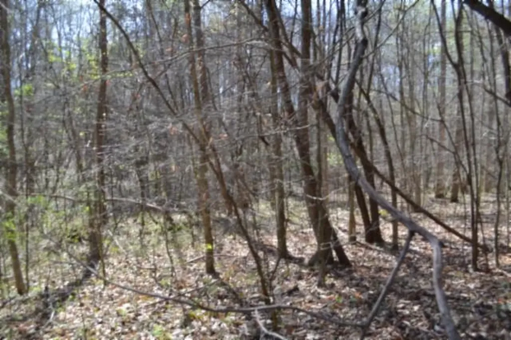 87+/-AC Boles Road Hilham TN 38568