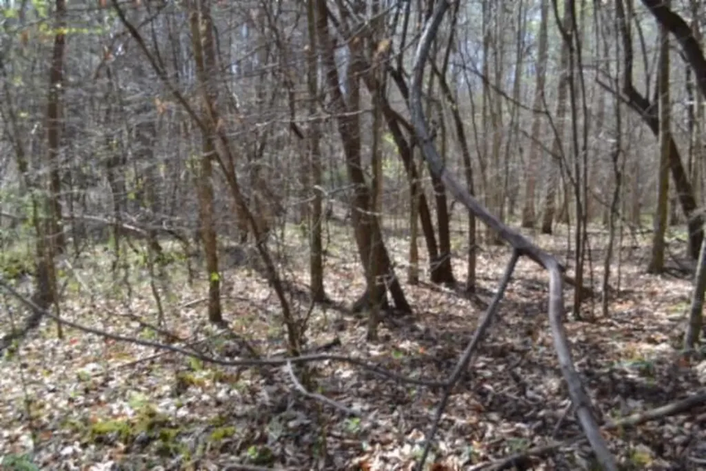 87+/-AC Boles Road Hilham TN 38568