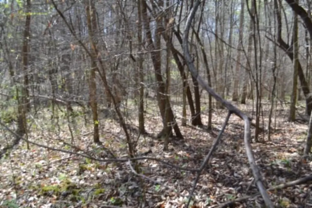 87+/-AC Boles Road Hilham TN 38568