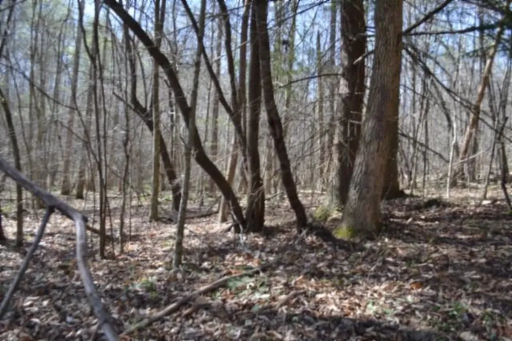 87+/-AC Boles Road Hilham TN 38568