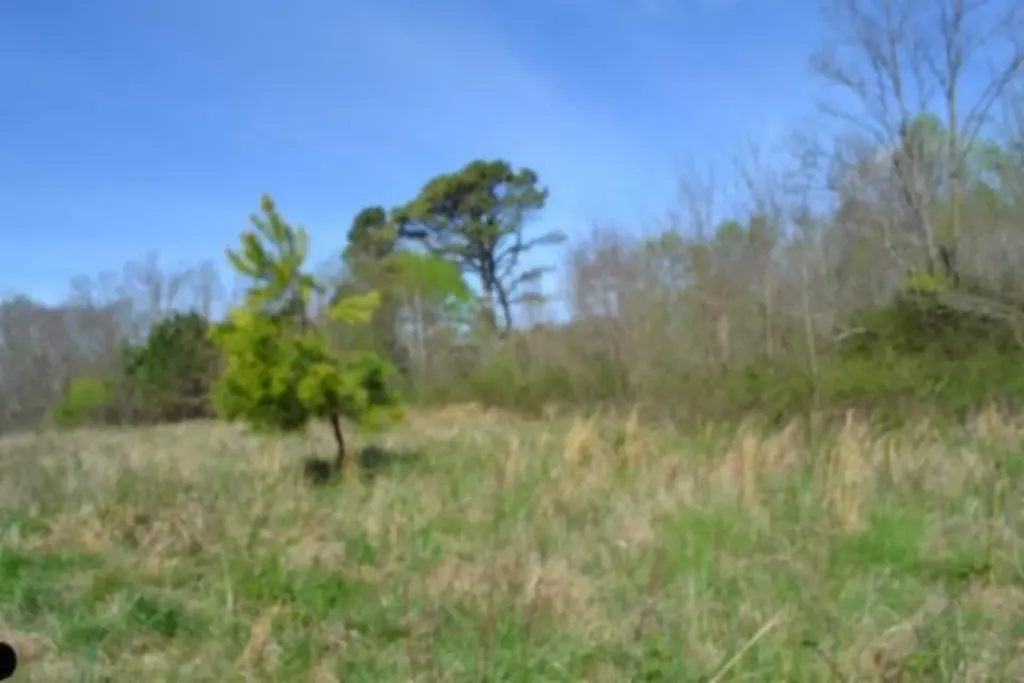 87+/-AC Boles Road Hilham TN 38568