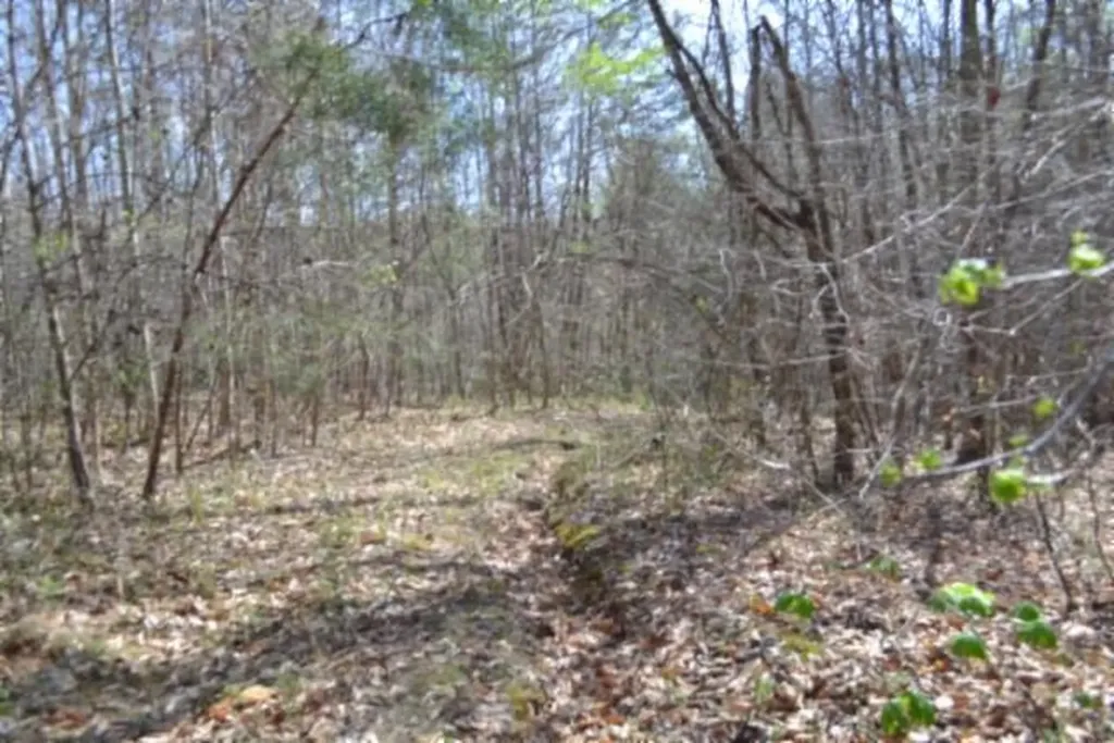87+/-AC Boles Road Hilham TN 38568